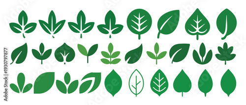 Collection of fresh green leaf icons, nature foliage symbols set.. vector illustration eps 10