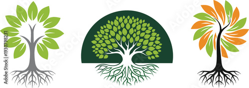 Stylized Tree of Life Vector Set with Roots and Colorful Leaf Nature Logo Design Collection