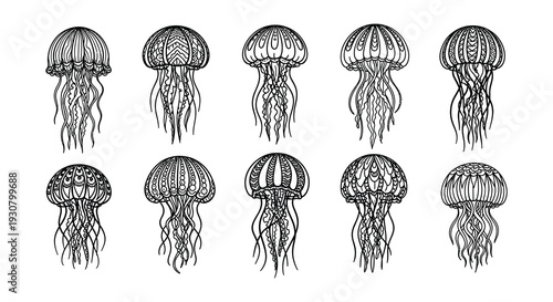 Intricate black and white illustration of various jellyfish designs