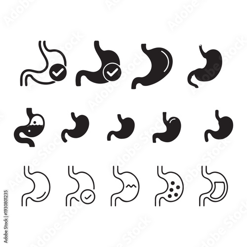 Human Stomach and Digestive System Icon Set Vector