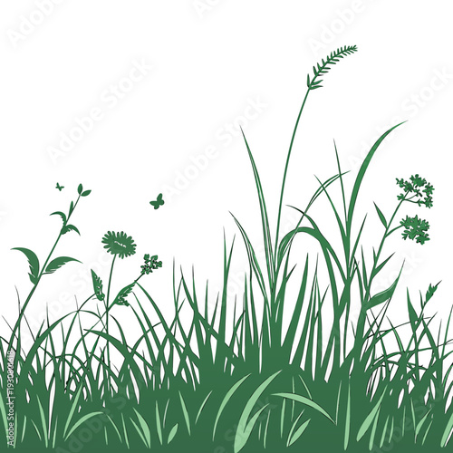 A serene meadow filled with various types of wildflowers and grasses under a clear sky