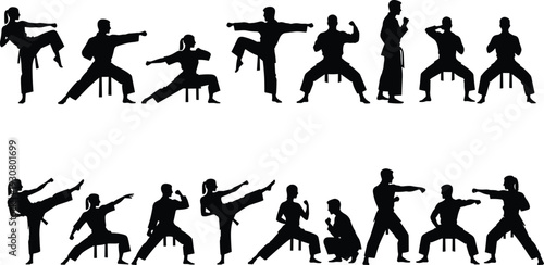 Martial arts silhouette collection fighters practicing kicks punches defensive stances training discipline combat sport illustration artwork design flat vector