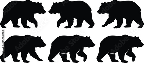 Bear Silhouette Collection with Walking Grizzly Poses Isolated on White Background Wildlife Vector Illustration Set