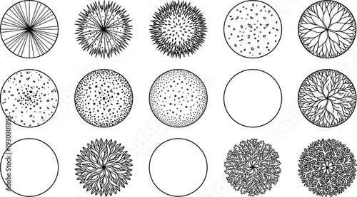 Architectural Plant Top View Set with Detailed Trees Shrubs and Bushes Landscape Design Elements Black and White Vector Collection