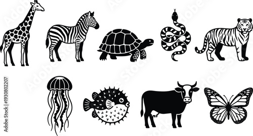 Detailed Animal Illustration Set with Giraffe Zebra Turtle Snake Tiger Jellyfish Puffer Fish Cow and Butterfly Vector
