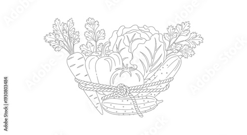 Fresh Cabbage, Carrots, and Bell Peppers Tied with Rope, Healthy Produce on Isolated White Background
