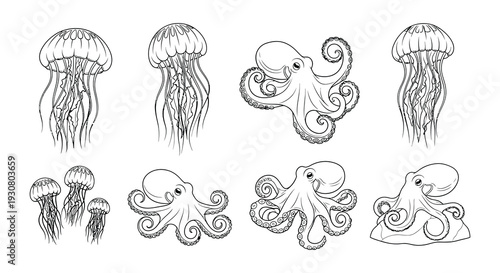 Line art illustration of jellyfish and octopuses in a marine setting