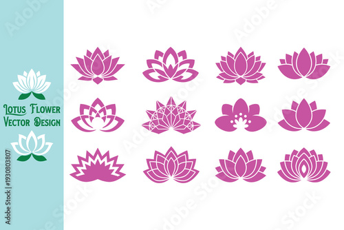  Vector set of lotus flower. Magenta pink lotus flower silhouettes in various styles. Large collection of floral icons for fashion, beauty, and creative wellness studios. Design. Vector illustration