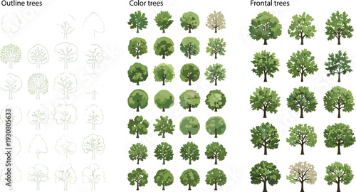 Collection of outline color and frontal trees isolated on white background detailed green tree set for landscape design map creation and illustration