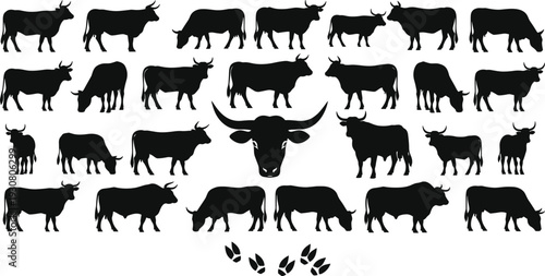 Cow silhouettes collection isolated on white background, various cattle poses with bull head and hoof prints, farm livestock vector illustration set