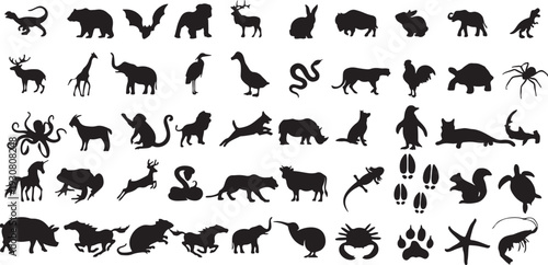animal, wildlife, silhouette, paw print, paw, illustration, graphic, design, vector, icon, set, collection, nature, wild, mammal, bird, reptile, amphibian, insect, prehistoric, creature, zoo, farm, fo