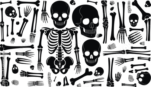 Black and white skeleton bones and skulls scattered in various arrangements on a white background