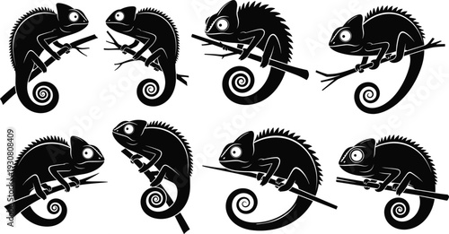 Chameleon silhouette set on branches, black and white vector illustration collection, reptile wildlife design, exotic animal clipart, isolated graphic elements