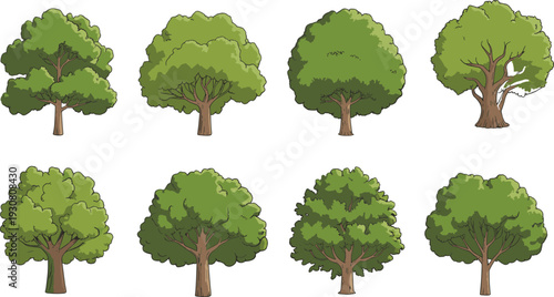 Eight green trees with thick trunks and dense foliage on a white background nature
