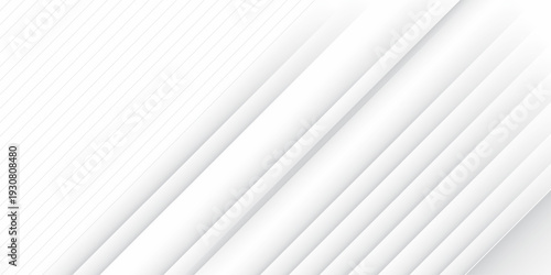 White abstract background with line pattern, banner design. Vector