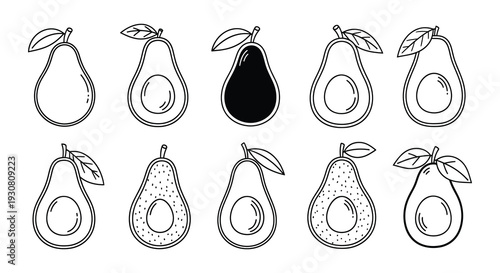 Collection of stylized avocado illustrations in black and white tones