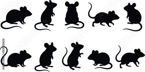 Rat silhouette set, mouse animal black icons collection, rodent shapes, pest symbol vector illustration isolated on background