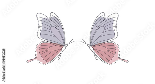 Two Butterflies with Pink and Gray Wings.