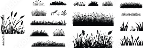Various black and white silhouettes of different types of grass and plants in different shapes and sizes