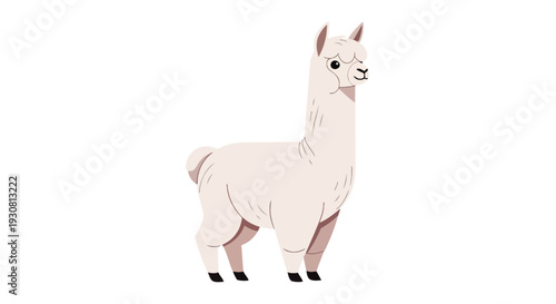 Charming stylized illustration of a fluffy white alpaca standing with a gentle expression, perfect for whimsical designs and creative projects