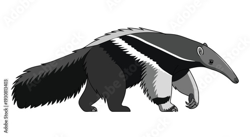 Illustrative depiction of a Giant Anteater walking with its distinctive bushy tail and long snout in a stylized, monochrome presentation