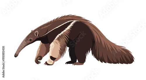 Charming illustration of a solitary giant anteater with its distinctive elongated snout and bushy tail isolated on a white background