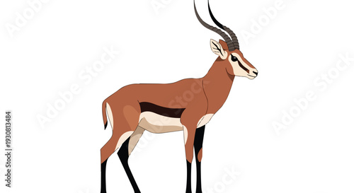 Stylized illustration of a graceful gazelle with curved horns standing against a pure white background