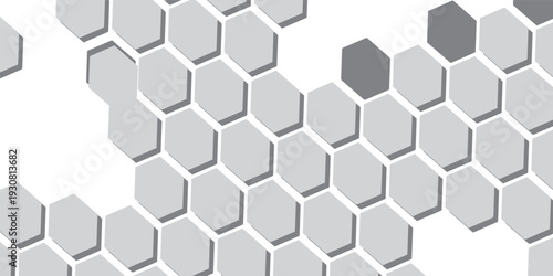 Hexagon vector texture. Abstract black Hexagon Geometric retro halftone tech overlay. border