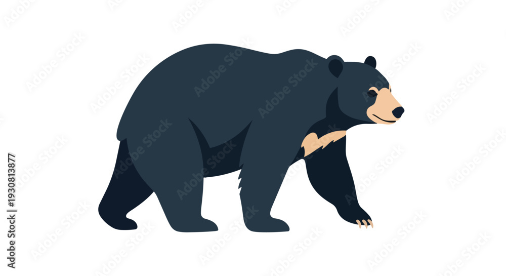 Obraz premium A minimalist flat illustration of a black bear with a distinctive light-colored chest marking, depicted in profile on a white background