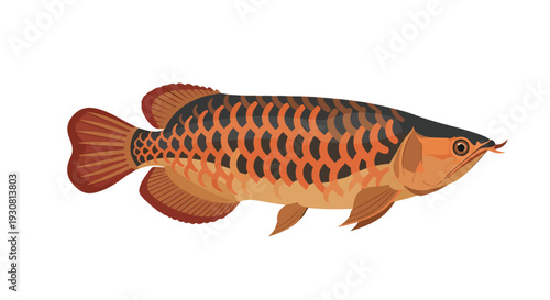 Vibrant illustration of an Asian arowana fish with striking orange and black scales, a symbol of good fortune and prosperity in aquatic environments