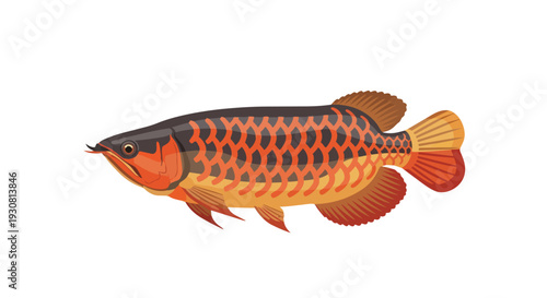 Exotic Asian Arowana Fish Illustration Vibrant Scales and Distinctive Barbels Detailed Representation