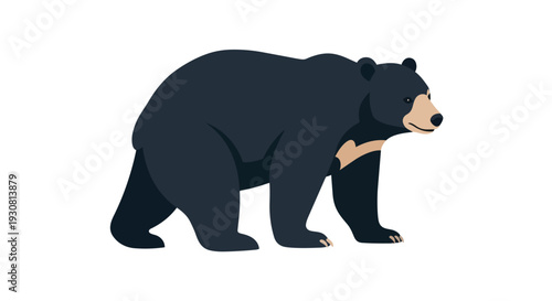 A stylized illustration of a black bear with distinctive pale markings on its chest standing against a plain white background, representing wildlife