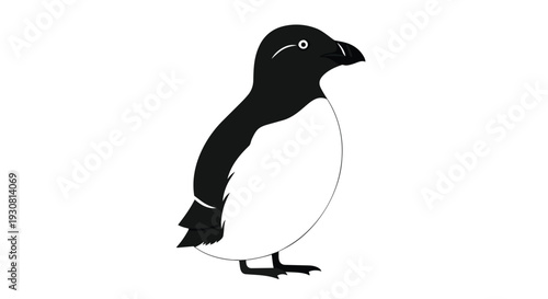 Minimalist illustration of a distinctive black and white seabird with a stark outline against a plain white backdrop, highlighting its unique form