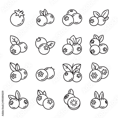 Blueberry Icons Set Line Art Vector Illustration Simple Fruit Graphics