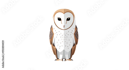 A striking minimalist illustration of a barn owl with intricately patterned feathers and a distinctive heart-shaped facial disk presented centrally