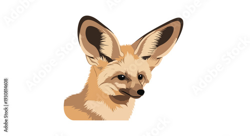 Digital illustration of a fennec fox head with prominent ears, isolated on a plain white background, showcasing its distinctive features