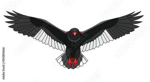 Striking illustration of a powerful black raptor bird in flight with widespread wings and sharp talons against a white background
