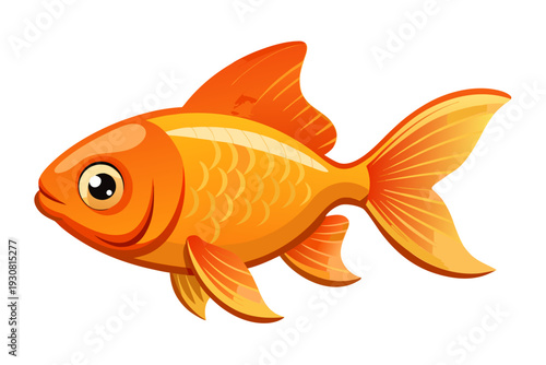 gold fish isolated on white