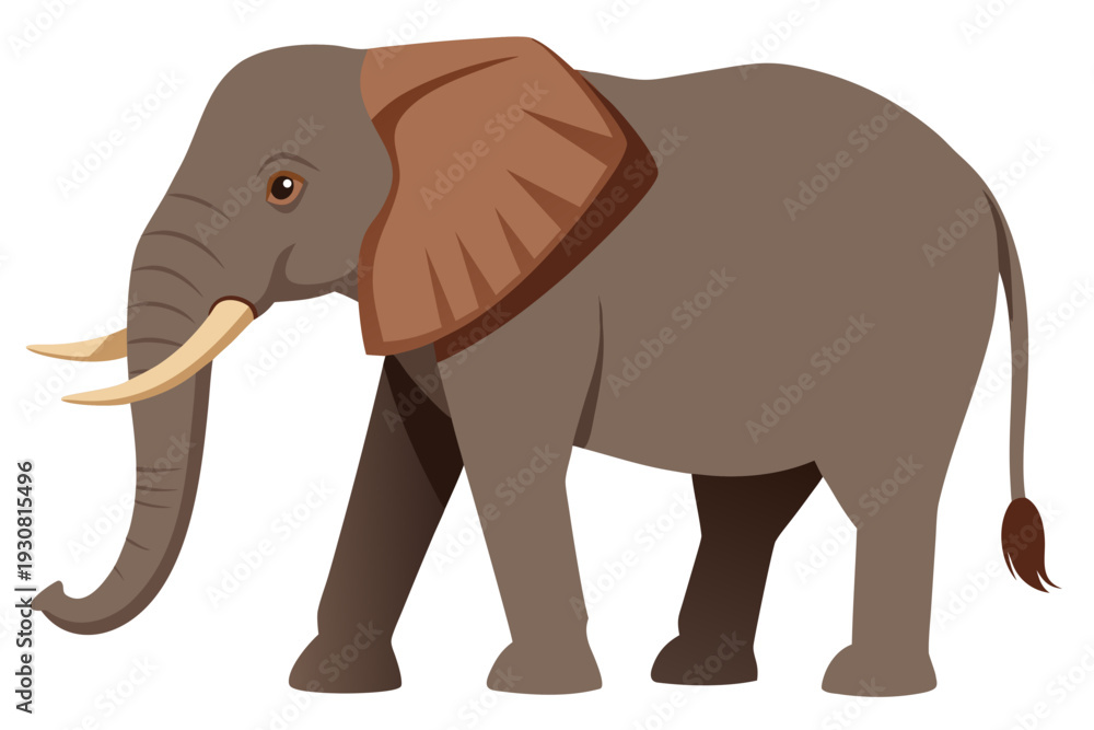 Fototapeta premium elephant cartoon isolated on white