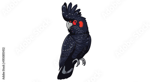Exotic Black Cockatoo with Red Cheek Patches Displaying a Striking Crested Profile