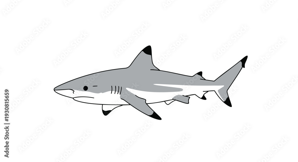 Naklejka premium A minimalist digital illustration of a grey shark with black accents on its fins and tail, swimming against a plain white background