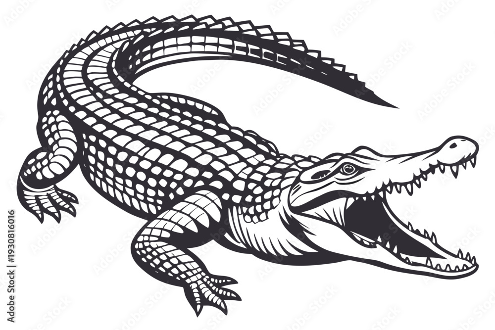 Obraz premium crocodile on a black background