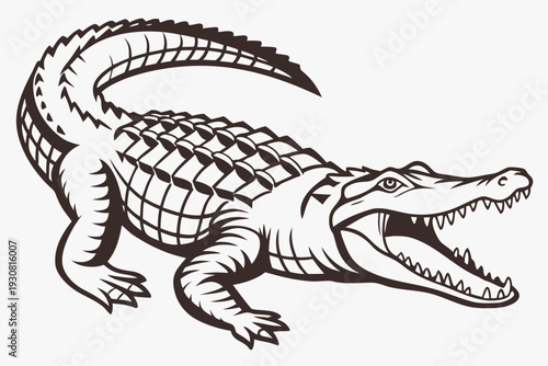 crocodile isolated on white