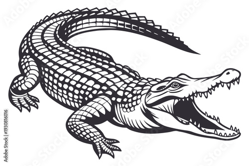 crocodile on a black background