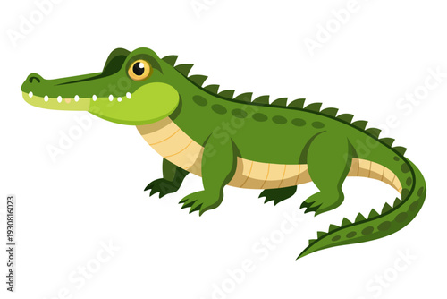 cartoon crocodile cartoon