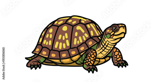 A charming cartoon illustration of a terrestrial turtle with a patterned shell and distinct facial features, standing on a white background