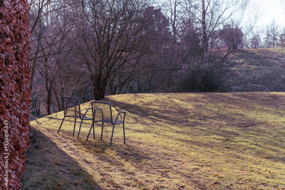 Fototapeta premium Two chairs stand on a gentle grassy slope surrounded by bare trees. Soft golden light enhances the peaceful park setting.