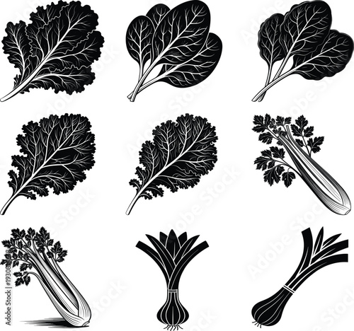 Black and white of leafy greens and vegetables kale spinach lettuce celery leek