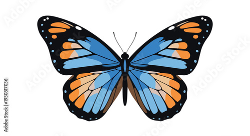 Vibrant monarch butterfly illustration with striking blue and orange wing patterns on a clean white background