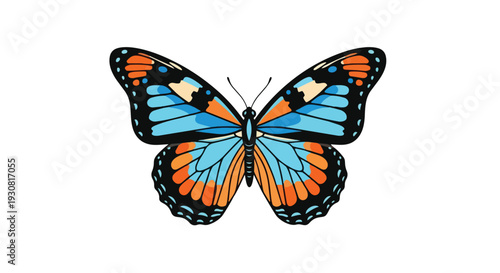 Vibrant Blue and Orange Butterfly with Intricate Wing Patterns on a Clean White Background, symbolizing nature's artistry and delicate beauty,